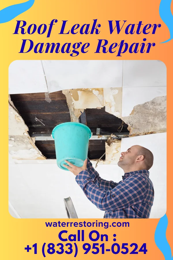 Roof Leak Water Damage Repair in New Fairview, TX