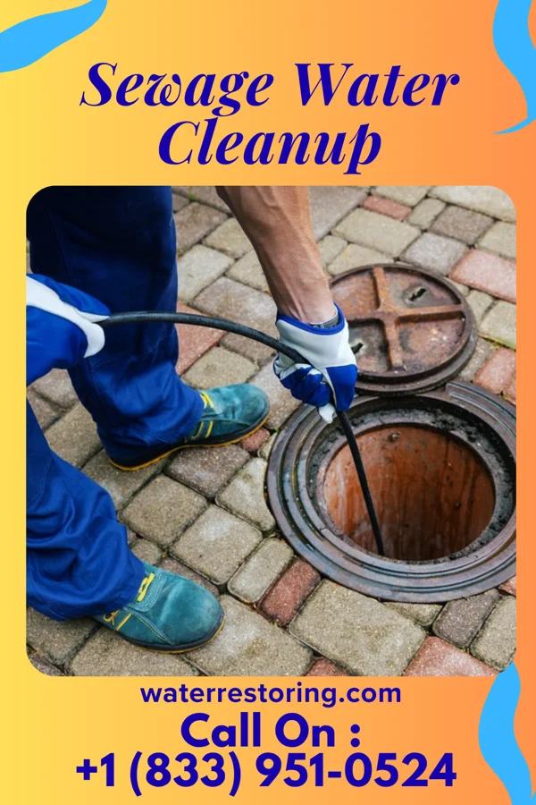 Sewage Water Cleanup in New Fairview, TX